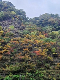 滝 お知らせです