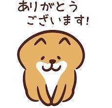 みう 今日も