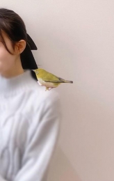 黒崎 肩に鳥さん