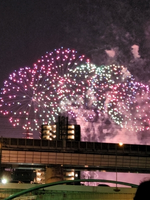 野原 野原です