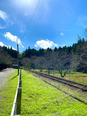 緑谷 千葉⑥ 小湊鐵道の♪