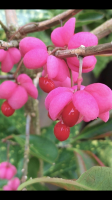 徳永 おはようございます❤️