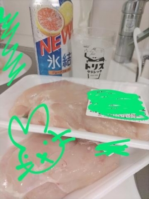 有栖川 鶏肉と戯れる休日