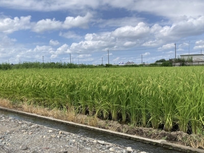 及川 夏休みも終わり？