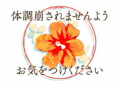 花咲ひとみ 素敵な幸せな一時