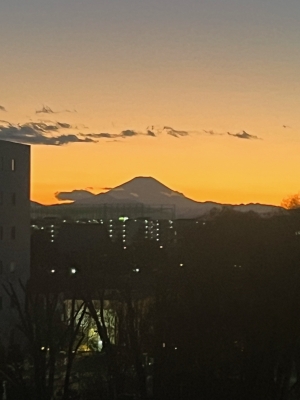 まい 夕方の富士山