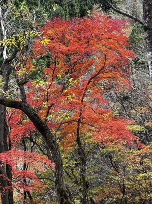 片岡 ありがとうございました