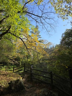 のえる 秋保で紅葉