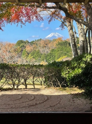 市川ともこ おはようございます