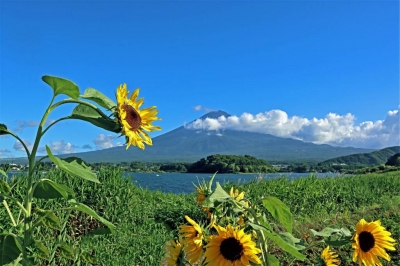 のどか ありがとうございます