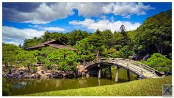 せりか 今日は岡山城、後楽園に行きました