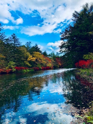 弓長 おはようございます(^.^)でき