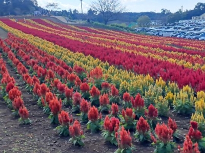 後藤えみか こんばんは??