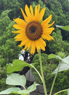 里田 おはようございます☀️