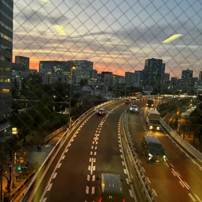 まいこ 都会の夕日