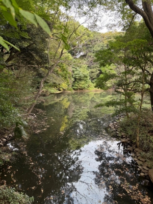 二宮あずさ 明日