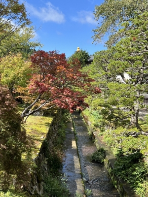 井上 おはようございます♪