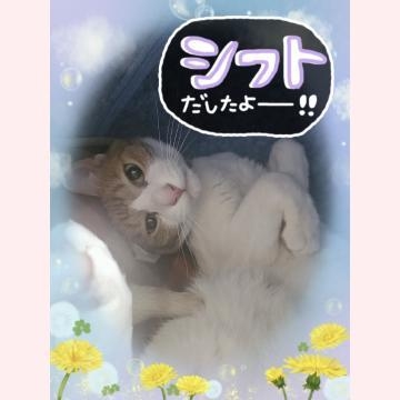 みゆ こんばんは。