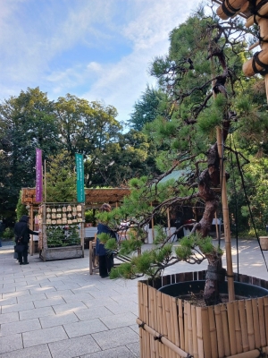 なのは 今日は東京大神宮