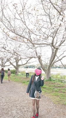 あやみ［神奈川］ 桜！