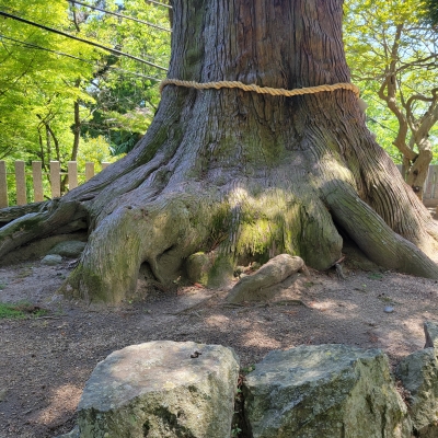 ちえみ 明日のリクエスト