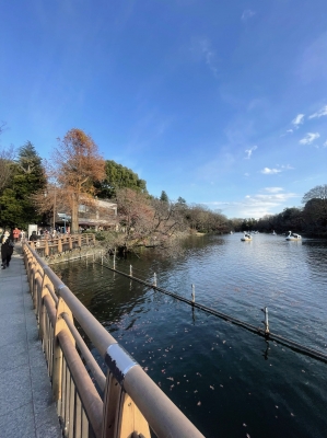 さおり 井の頭公園