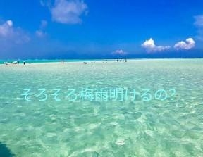 つぼみ 明日！出勤します