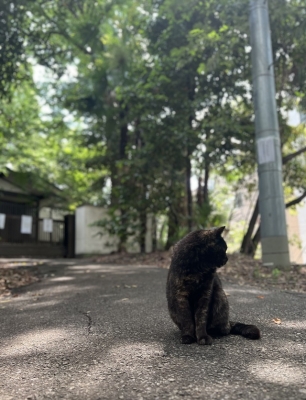 新木 無題