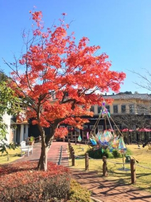 桜野ゆりな おはようございます。