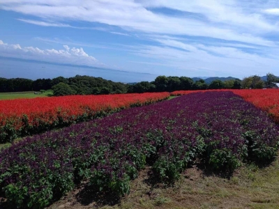 あんり 今日もアリガトウございました?