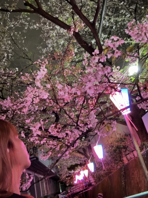 ひな 夜桜を見ながら