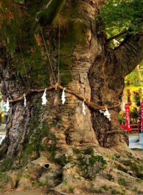 里中まなみ 秩父今宮神社