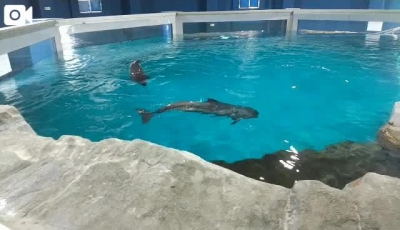 西園寺 おたる水族館