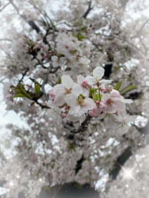 遠藤 おはようございます☔️