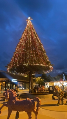 岡村ようこ 入店1ヶ月経ちました！