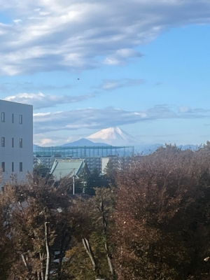 まい 今朝の富士山