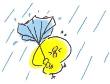 みゆき 明日台風