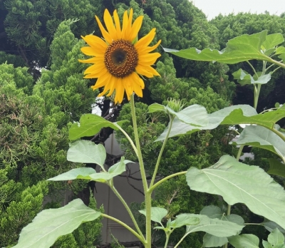 里田 おはようございます☀️