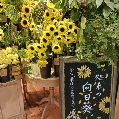 なのは 好きな花