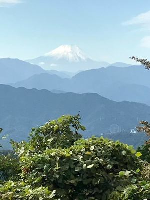 三咲 今日はぐっすり