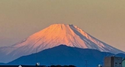 春元 赤富士と本日の出勤