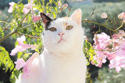 じゅり 今日は