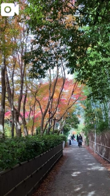 坂本まな 美しい自然とおいしい空気??