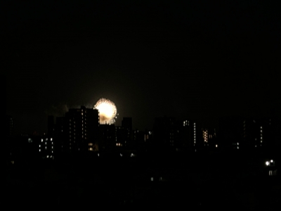 かずき 昨日の花火大会