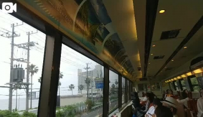桑田 黒船電車からの眺め