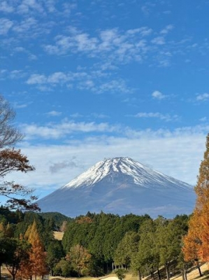 市川ともこ おはよう?