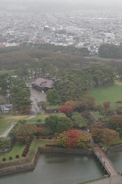 伊藤 もも 本指名　S様へ