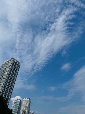 ありさ 空