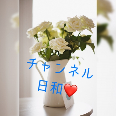 木下 おはようございます❣️