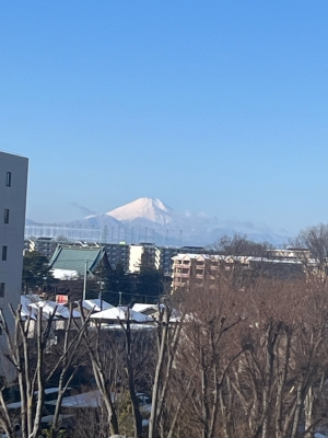 まい 今朝の富士山